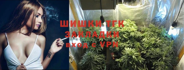 прущие крисы Костерёво